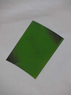 picture of the author covered in green paint