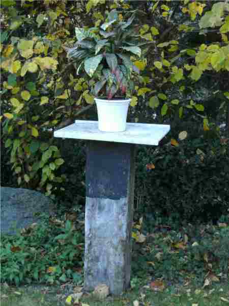 plant stand 3