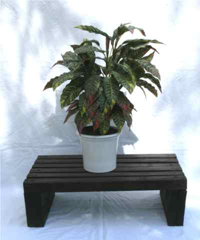 plant stand 7