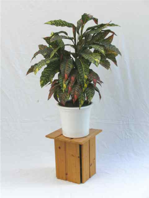 plant stand 8