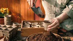 Sow in February, harvest by the bagful: a proven list for a bountiful season